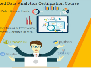 data-analyst-course-in-delhi-career-oriented-training-for-mnc-jobs-get-free-alteryx-r-and-gen-ai-skills-by-sla-consultants-india