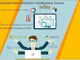 remote-work-global-opportunities-why-data-analyst-is-a-smart-choice-in-2025-excel-by-sla-consultants-india