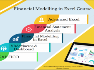 how-an-finance-course-can-help-you-start-your-own-business-in-2025-100-job-financial-modeling-course-in-delhi-110083-by-sla