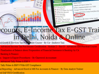 diploma-in-accounting-delhi-gst-and-custom-course-with-tally-prime-in-delhi-100-job-guarantee-course-by-sla-consultants