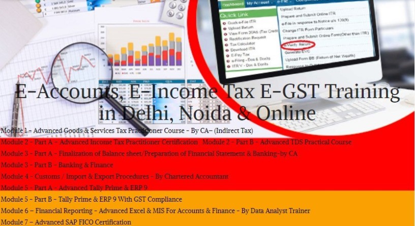 top-accounting-training-institute-in-delhi-independence-day-offer-till-15-aug-free-sap-fico-certification-by-sla-consultants-india-big-0