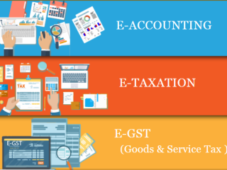 delhi-accounting-institute-with-practical-training-independence-day-offer-till-15-aug-free-sap-fico-certification-by-sla-consultants-india