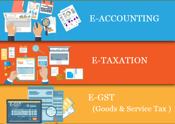 delhi-accounting-institute-with-practical-training-independence-day-offer-till-15-aug-free-sap-fico-certification-by-sla-consultants-india-big-0